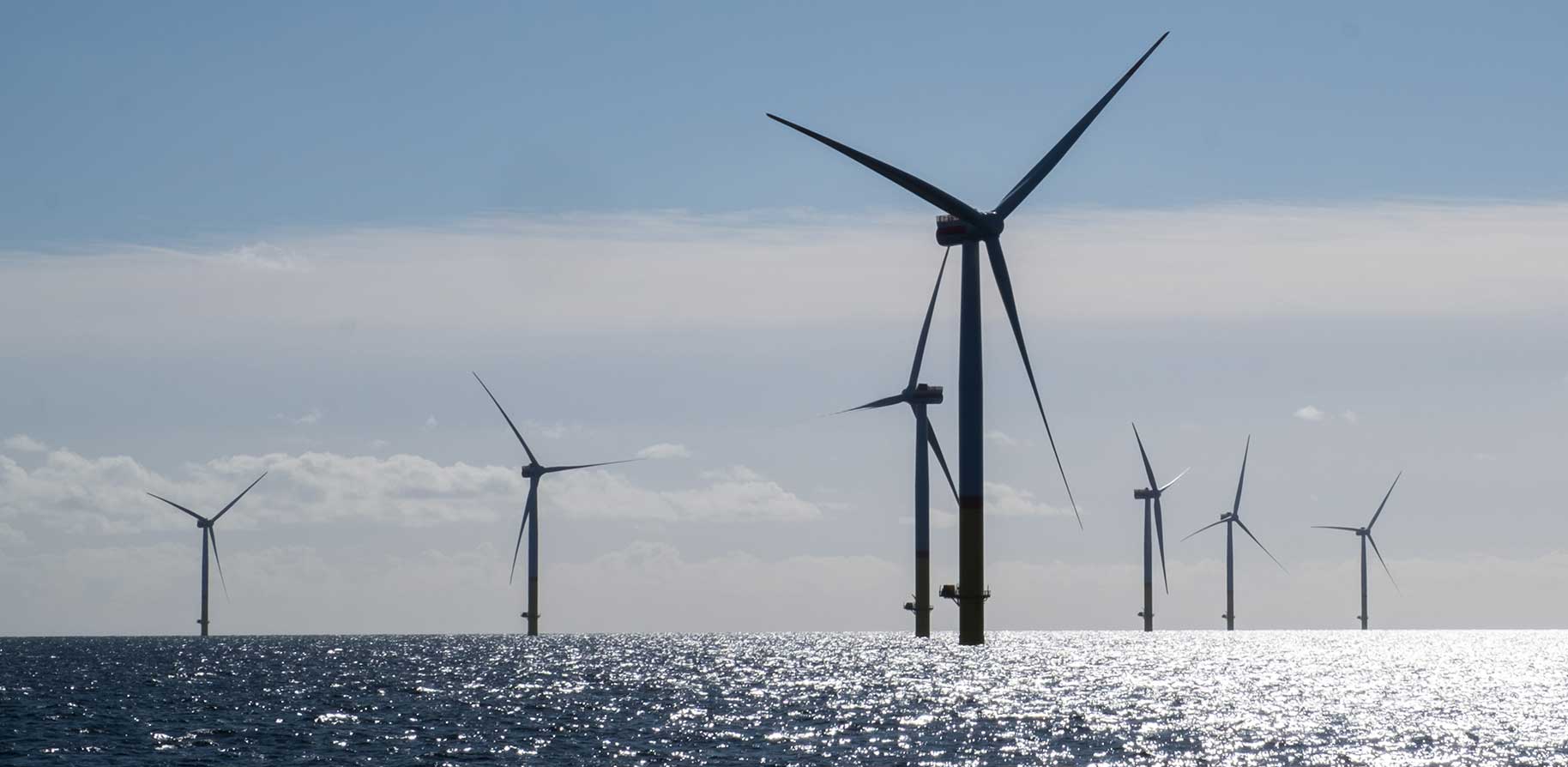 A row of wind turbines stands in the sea, with sunlight reflecting off the water and a clear blue sky.